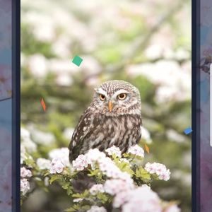 Meet your Posher, Trisha